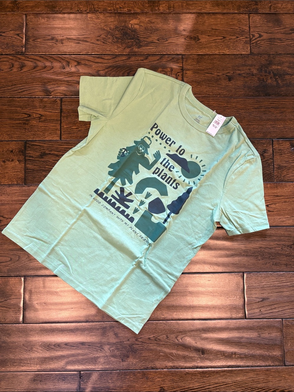 NWT GAP Light Green Graphic Tee, Kids XXL